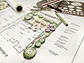 How To Design A Landscape Tampa, FL