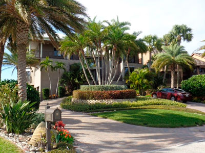 Landscaping, Dover, FL