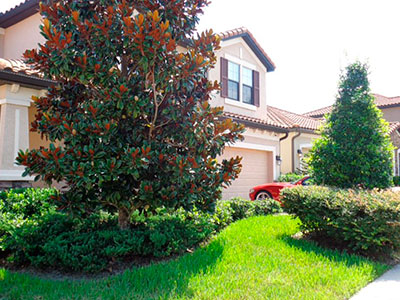 Landscaping Services, Brandon, FL