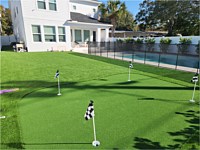 Artifical Turf