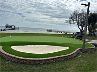 Artifical Turf