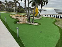 Artifical Turf