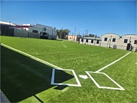 Artifical Turf