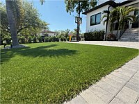 Artifical Turf