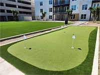 Artifical Turf