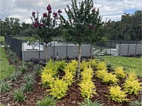 2025 Landscape Projects
