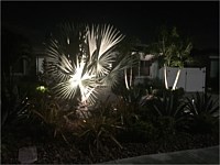 Landscape Lighting