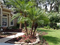 Landscaping