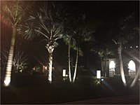 Landscape Lighting