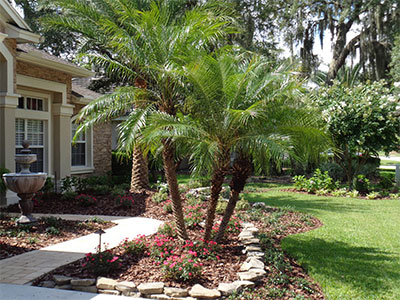 Landscaping Services St Petersburg, FL